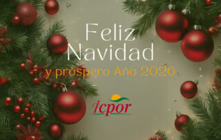 Feli Navidad y próspero Año 2026