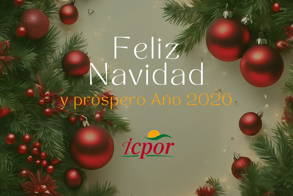 Feli Navidad y próspero Año 2026