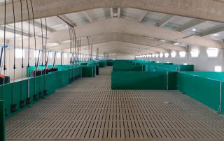 ICPOR refuerza su compromiso con el bienestar animal y obtiene la certificación Welfair®