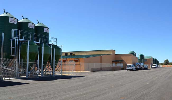 Icpor - Granja porcina