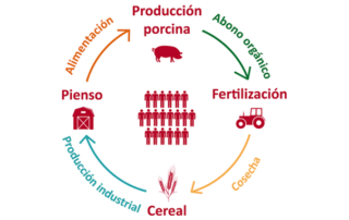 Economía circular