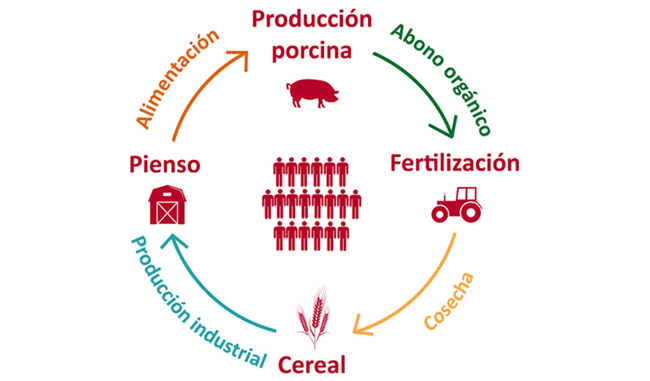 Economía circular