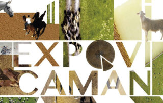 expovicaman 2019