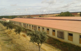 Granja de porcino - Modelo de sostenibilidad