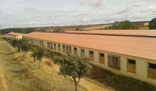 Granja de porcino - Modelo de sostenibilidad