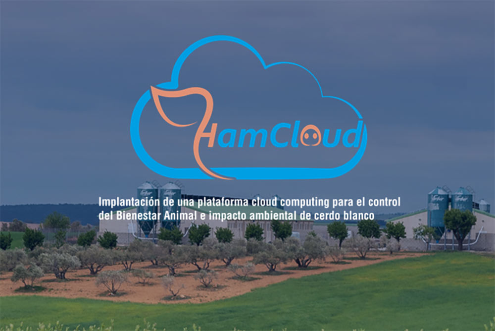HAMCLOUD