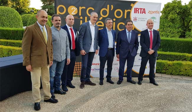 Porc d’Or Ibérico 2018