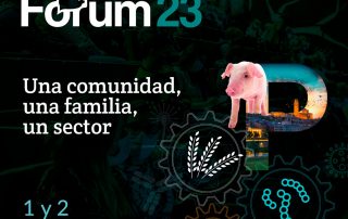 porciforum 2023